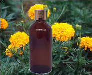 Tagetes Oil 