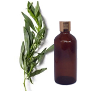 	Tarragon Oil 