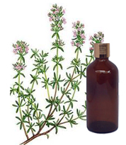 Thyme Oil 