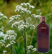 Valerian Root Oil