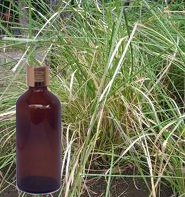 Vetiver Oil 