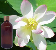 White Lotus Attar 