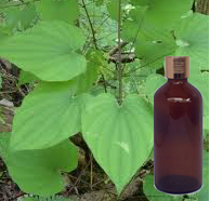 Worm Wood Oil