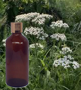 Yara Yara Oil Or Yarrow Essential Oil