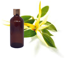 Ylang Ylang Oil